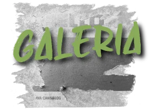 NUA_ADDISON-HOUSE_DESKTOP_TEXTO-GALERIA